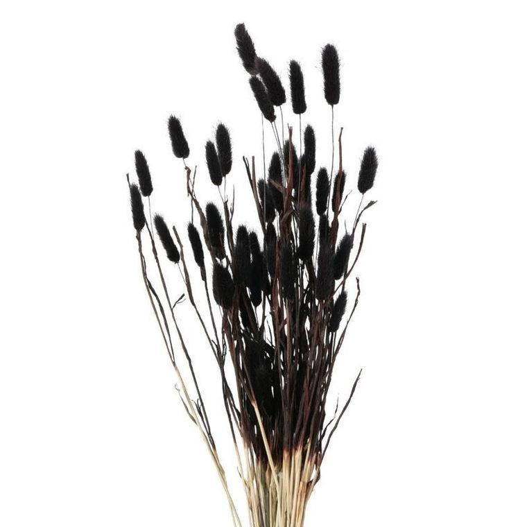 Boltze Home, ozdobne gałązki do wazonu, suszone, 70 cm