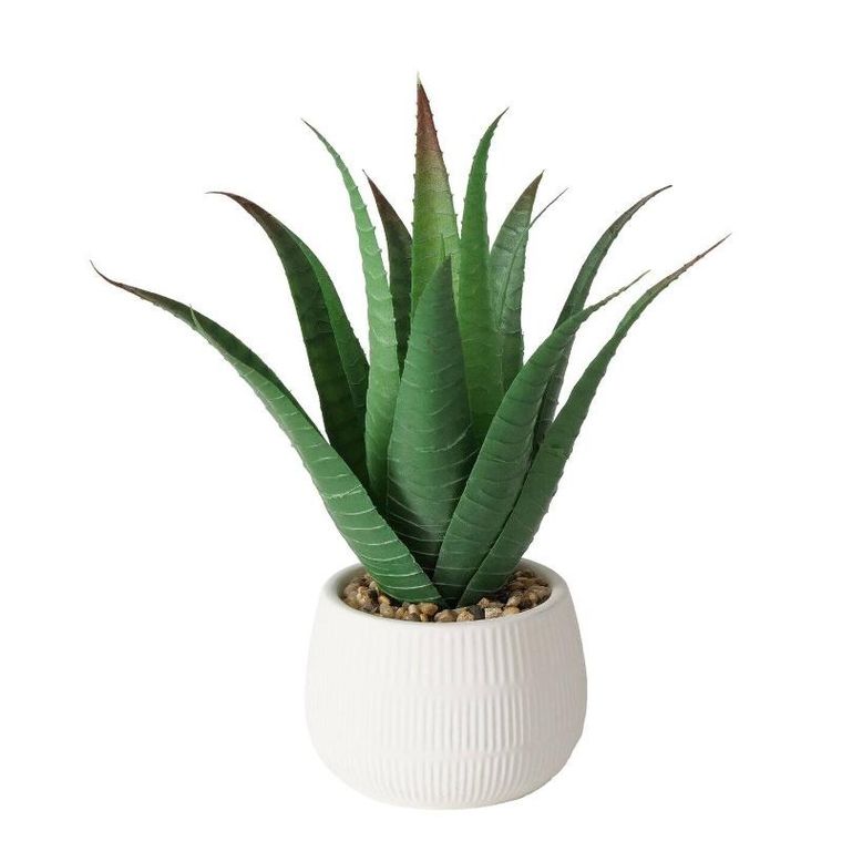 Boltze Home, sztuczna roślina aloes w donicze, Mondrago, 29 cm