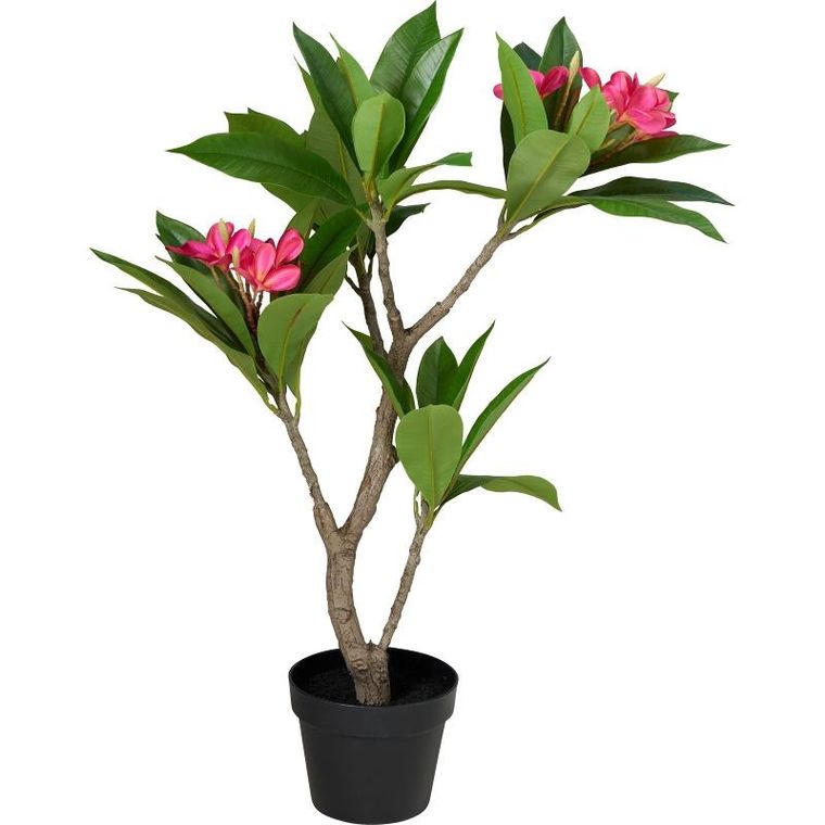 Botanical Decoration, Frangipani, sztuczne drzewko w doniczce, 50-90 cm