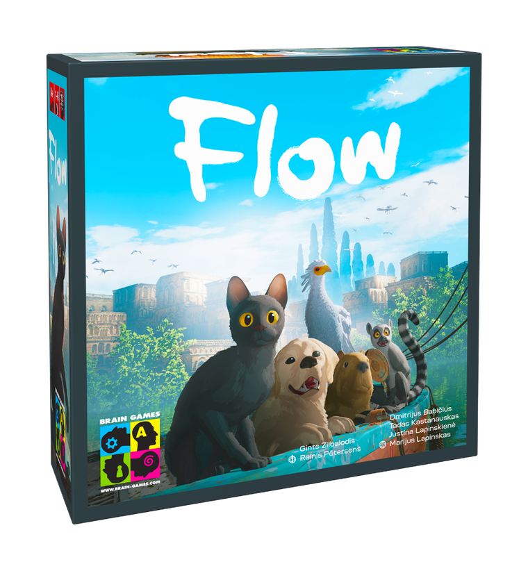 Brain Games, Flow, gra kooperacyjna