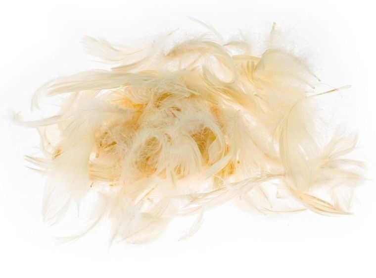 Brewis, pióra ecru, 5-12 cm, 7g