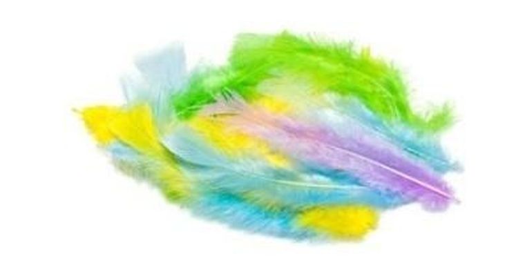 Brewis, pióra, pastelowe, 3g