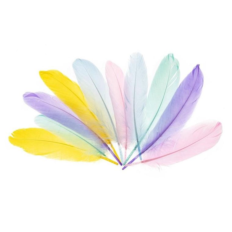 Brewis, piórka gęsie, 15-20 cm, pastelowe