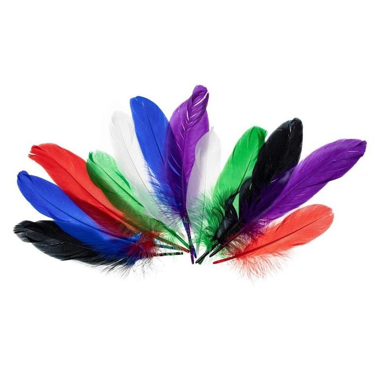 Brewis, piórka gęsie, jaskrawe, 15-20 cm