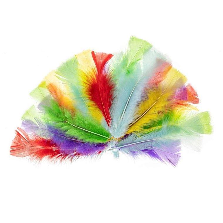 Brewis, piórka indycze, 10-15 cm pastelowe