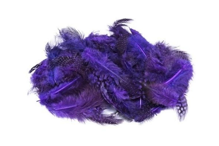 Brewis, piórka nakrapiane, fioletowy, 3g