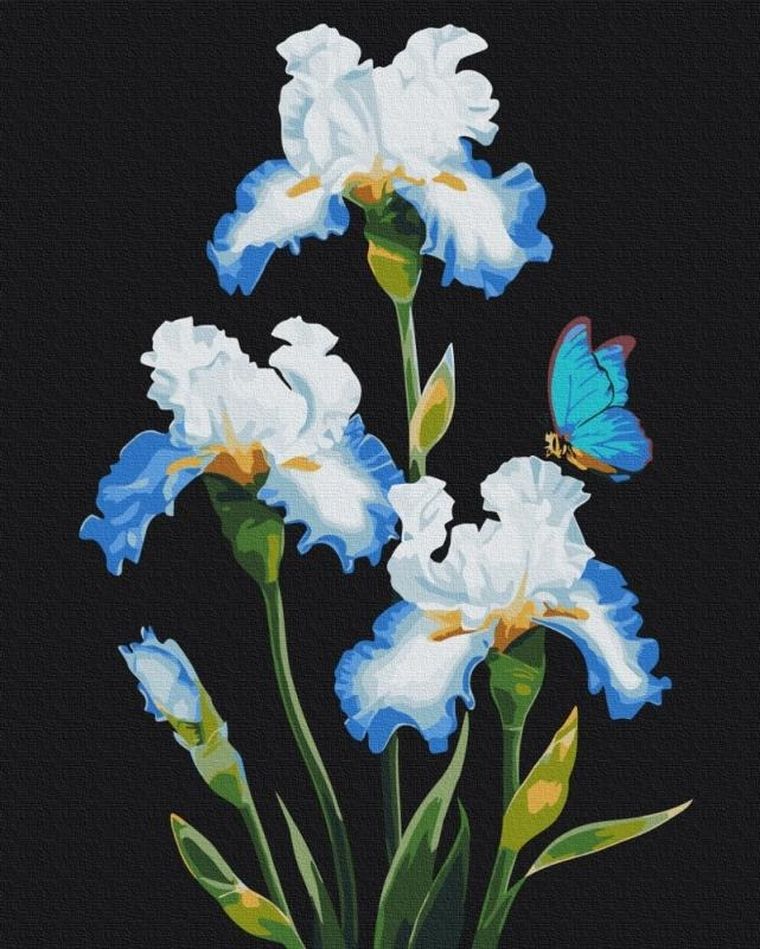 Brushme, malowanie po numerach, irysy, 40-50 cm