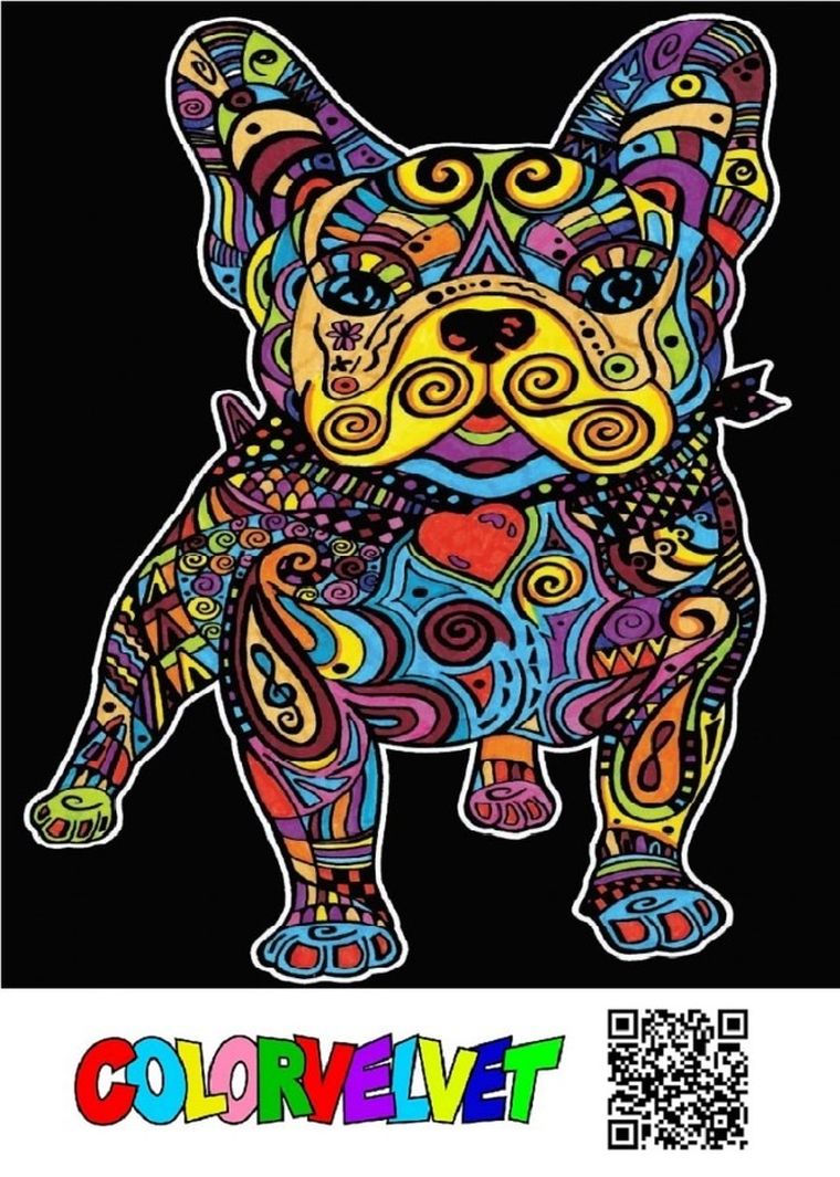 Buldog Francuski. Kolorowanka welwetowa, 47-35 cm