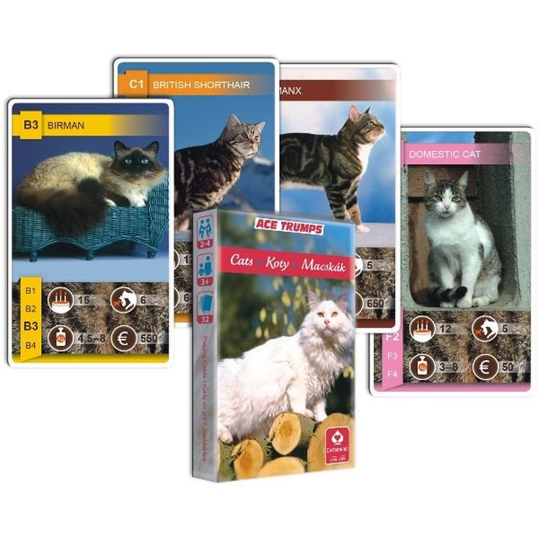 Cartamundi, Gra karciana, Kwartet, koty