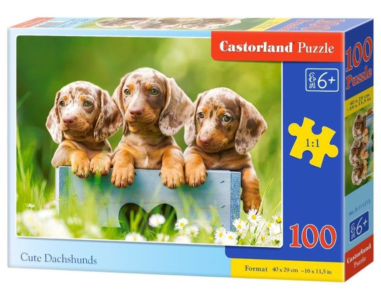 Castor, Cute Dachshunds, puzzle, 100 elementów