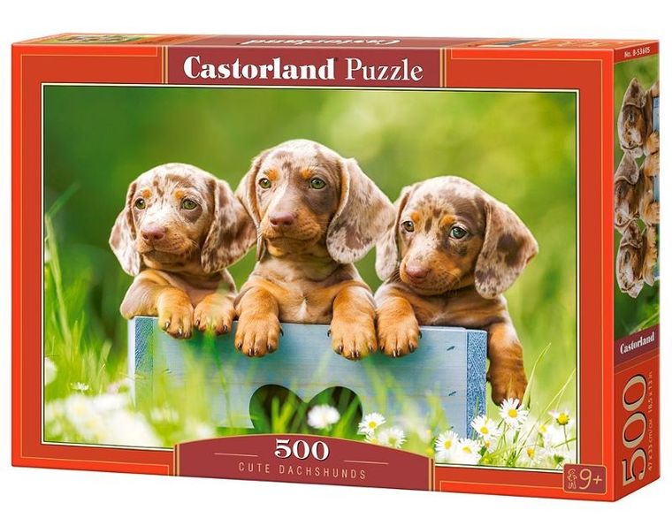 Castor, Cute Dachshunds, puzzle, 500 elementów
