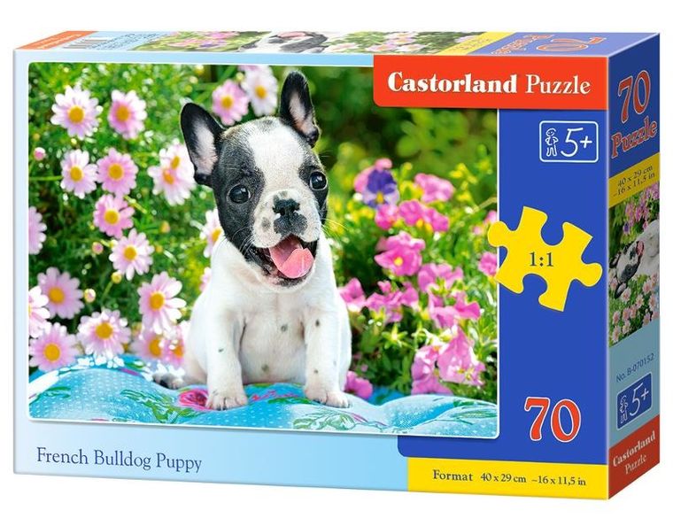 Castor, French Bulldog Puppy, puzzle, 70 elementów