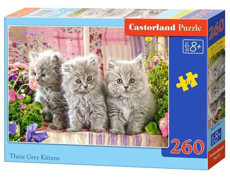 Castor, Three Grey Kittens, puzzle, 260 elementów