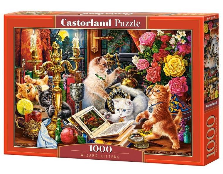 Castor, Wizard Kittens, puzzle, 1000 elementów