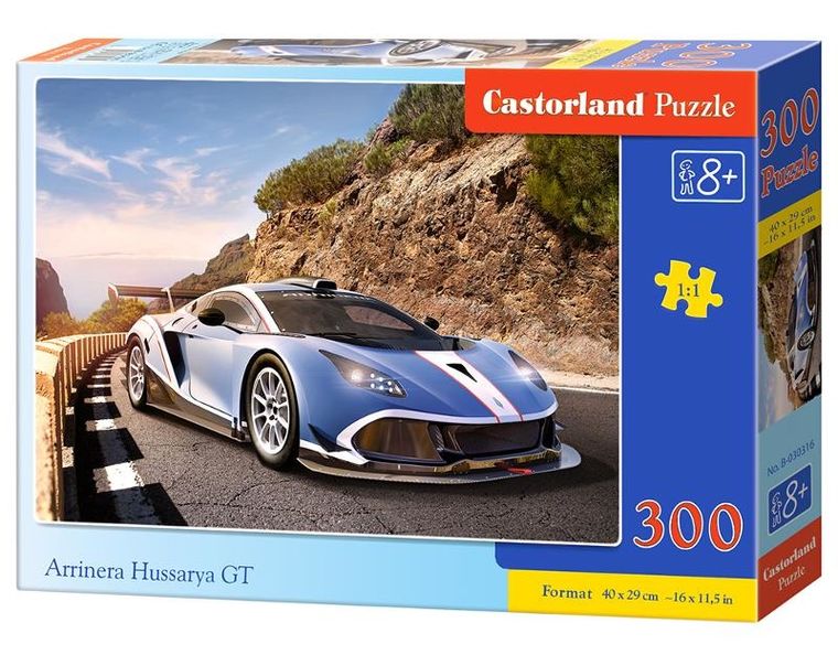 Castorland, Arrinera Hussarya Gt, puzzle, 300 elementów