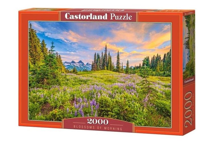 Castorland, Blossoms of Morning, puzzle, 2000 elementów