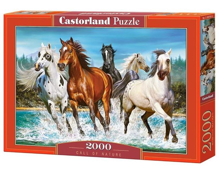 Castorland, Call Of Nature, puzzle, 2000 elementów