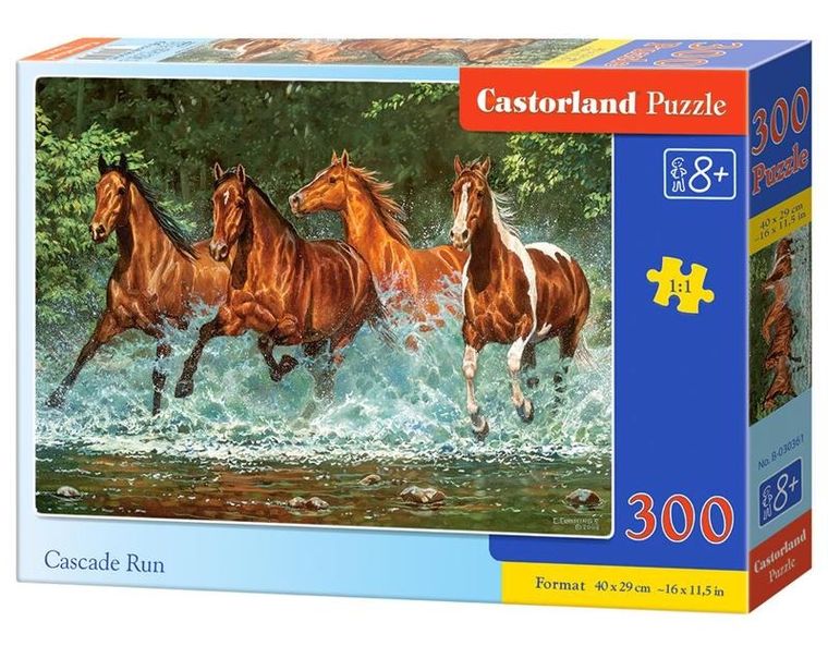 Castorland, Cascade Run, puzzle, 300 elementów