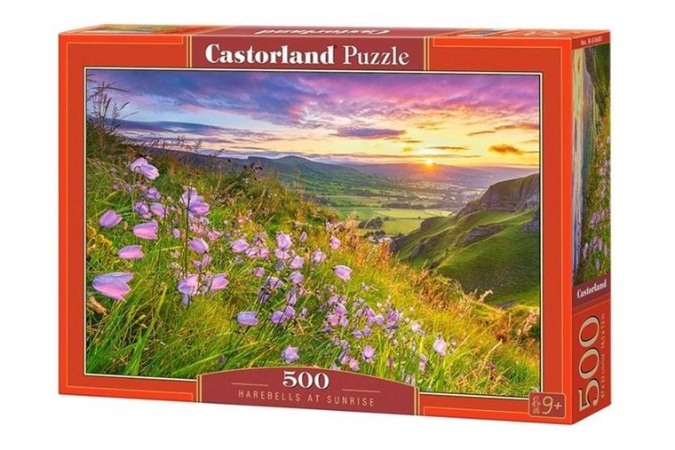 Castorland, Harebells at Sunrise, puzzle, 500 elementów