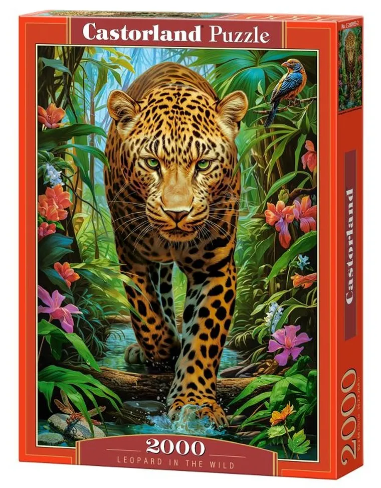 Castorland, Leopard In The Wild, puzzle, 2000 elementów