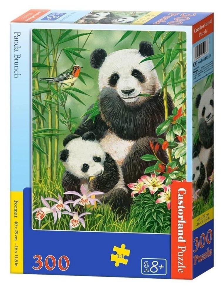 Castorland, Panda Brunch, puzzle, 300 elementów