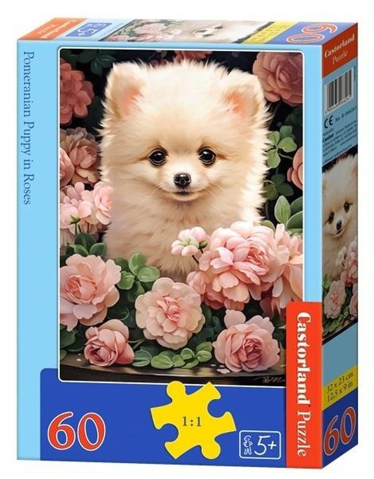 Castorland, Pomeranian Puppy in Roses, puzzle, 60 elementów