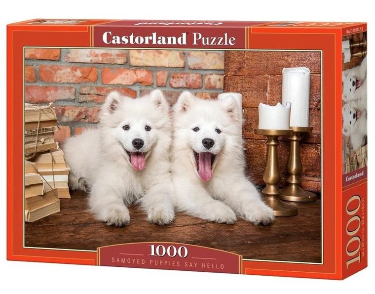Castorland, Szczeniaki Samoyed, puzzle, 1000 elementów