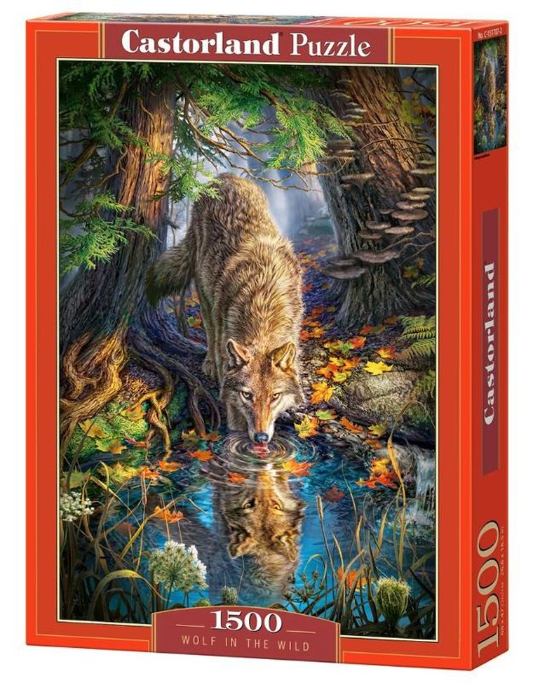 Castorland, Wilk na wolności, puzzle, 1500 elementów