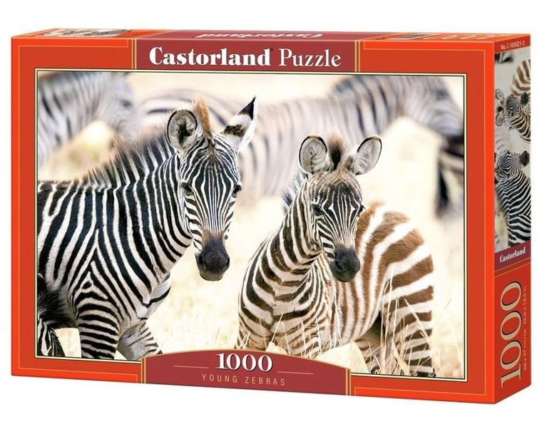 Castorland, Young Zebras, puzzle, 1000 elementów