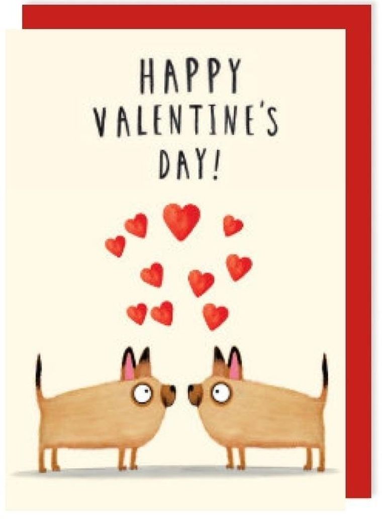 Charley Rabbit, karnet, walentynki, zakochane pieski