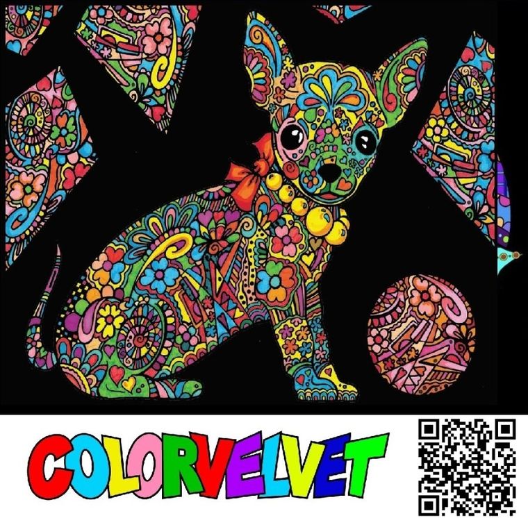 Chihuahua. Kolorowanka welwetowa, 47-35 cm