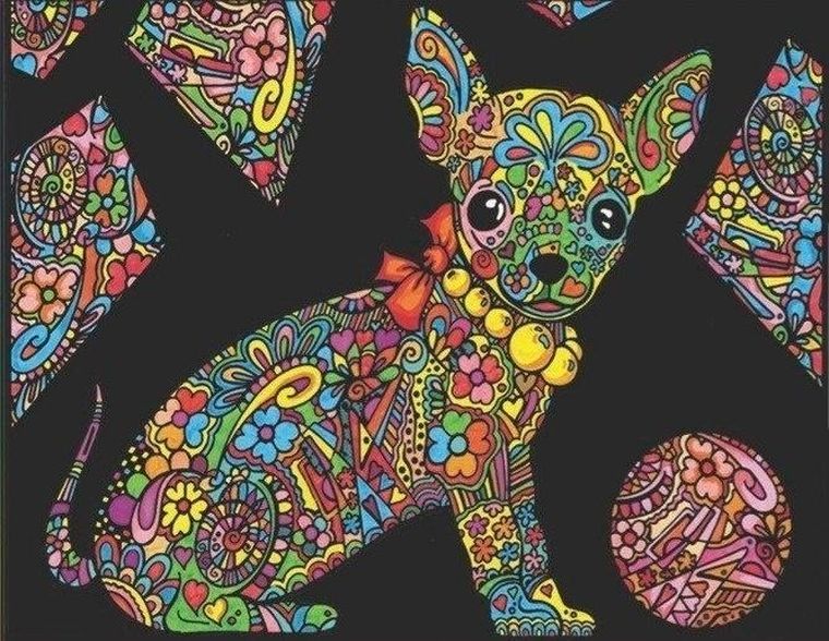 Chihuahua! Kolorowanka welwetowa A4