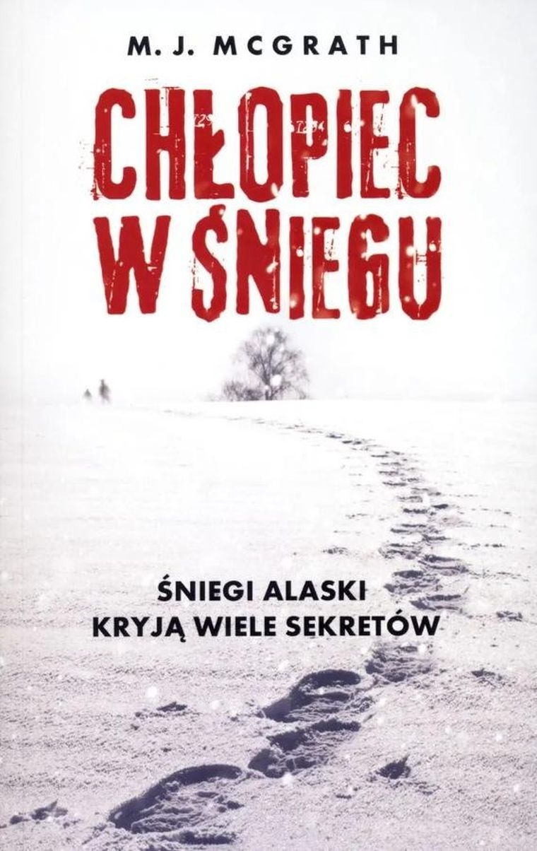Chłopiec w śniegu