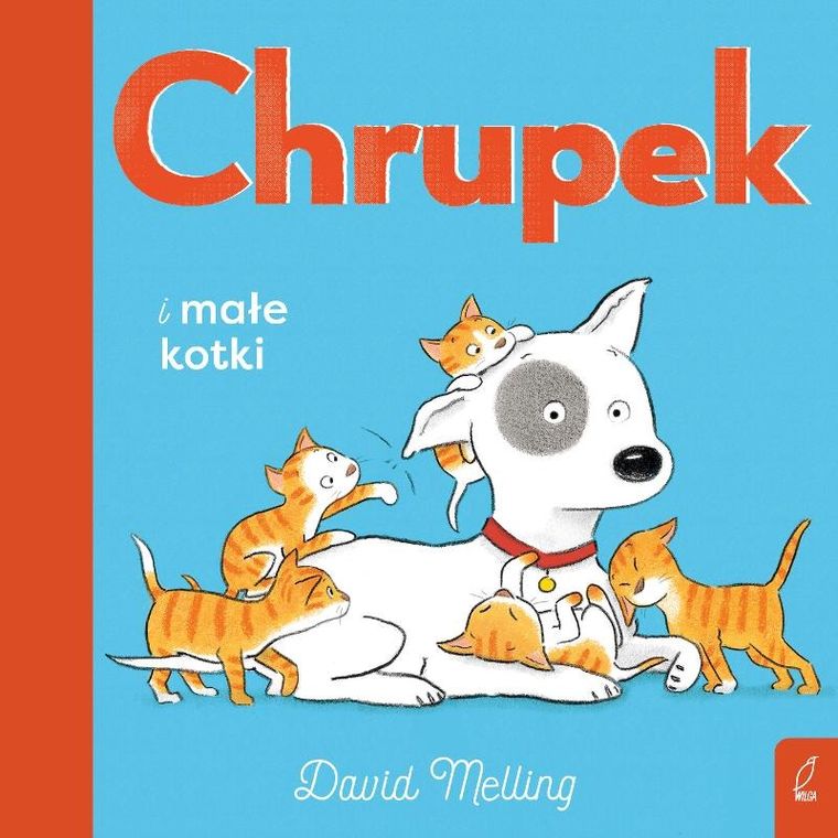 Chrupek i małe kotki