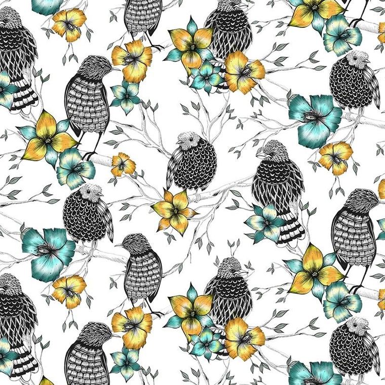 Clear Creations, karnet, kwadrat, Etniczne ptaki