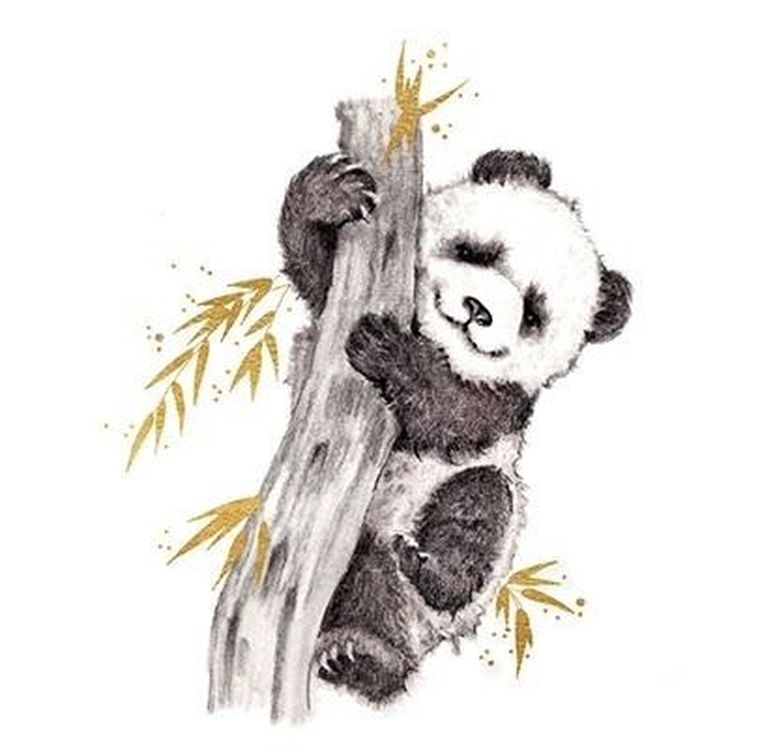 Clear Creations, karnet, złocony kwadrat, Panda