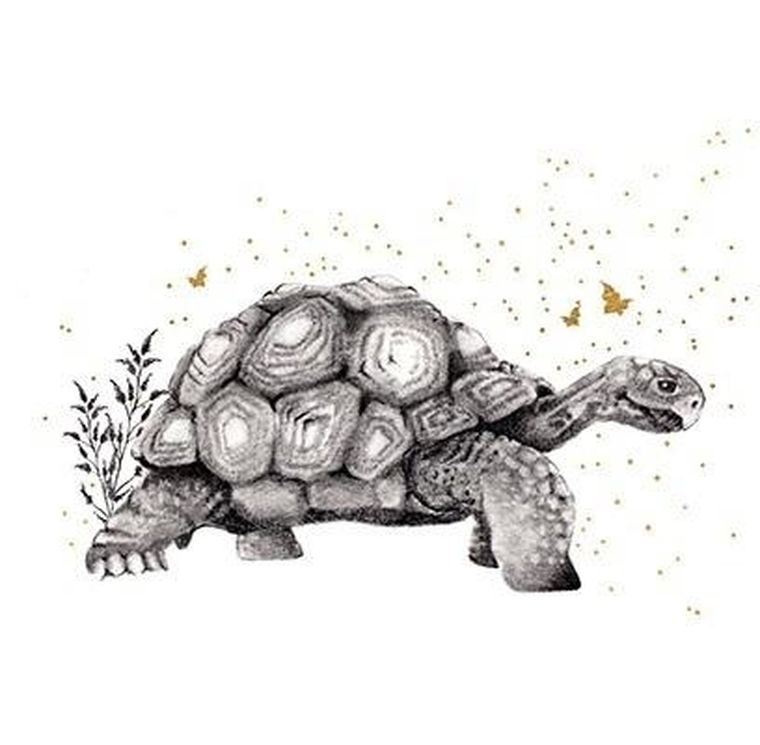 Clear Creations, karnet, złocony kwadrat, Żółw