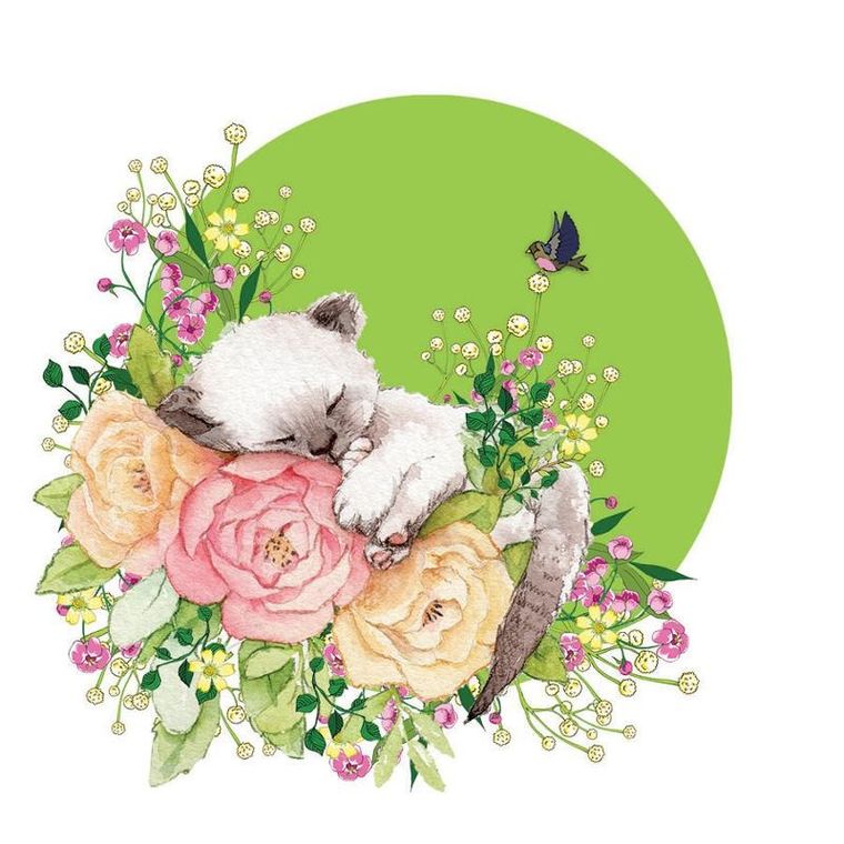 Clear Creations, Swarovski, karnet, kwadrat, Kot