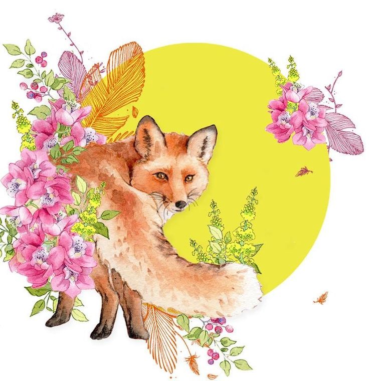 Clear Creations, Swarovski, karnet, kwadrat, Lis