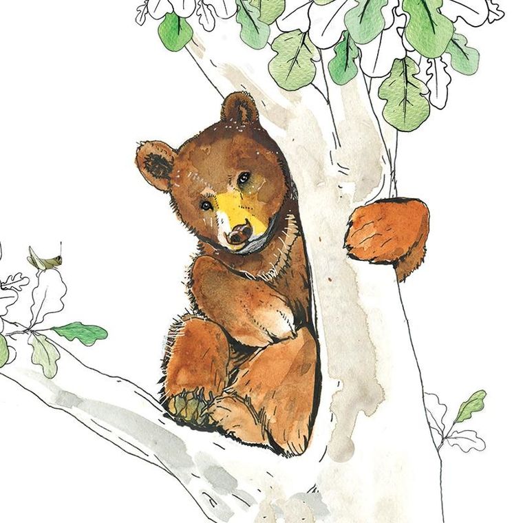 Clear Creations, Swarovski, karnet, kwadrat, Niedźwiadek