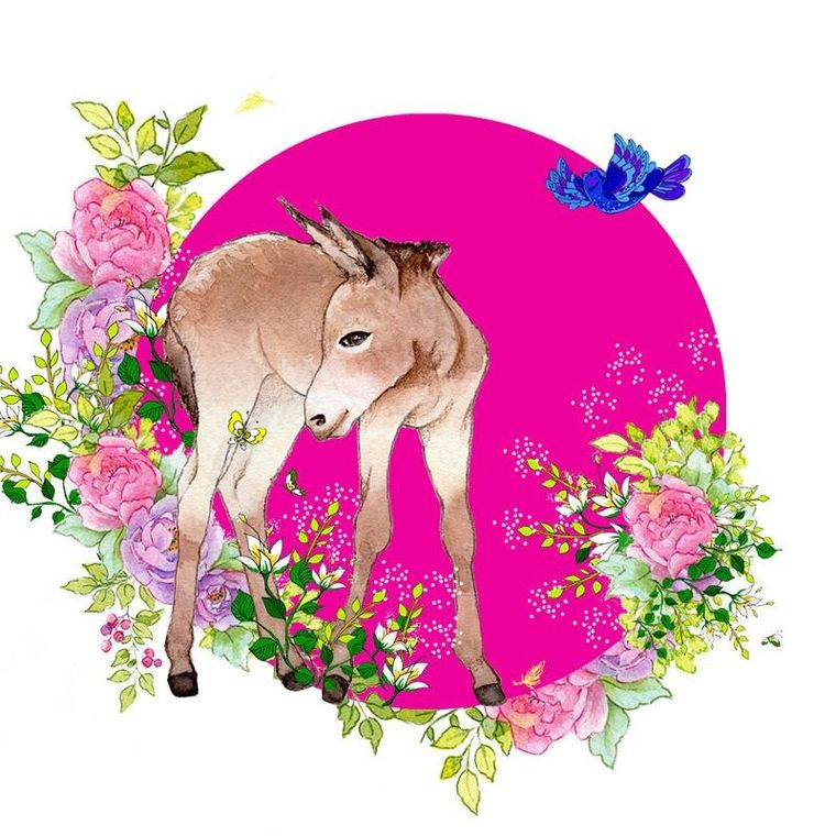 Clear Creations, Swarovski, karnet, kwadrat, Osioł