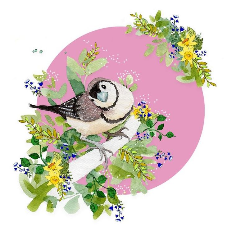 Clear Creations, Swarovski, karnet, kwadrat, Ptaszek