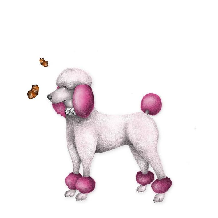 Clear Creations, Swarovski, karnet, kwadrat, Pudel