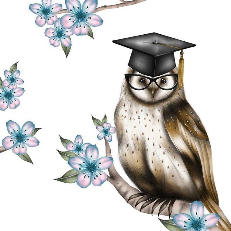 Clear Creations, Swarovski, karnet, kwadrat, Sowa