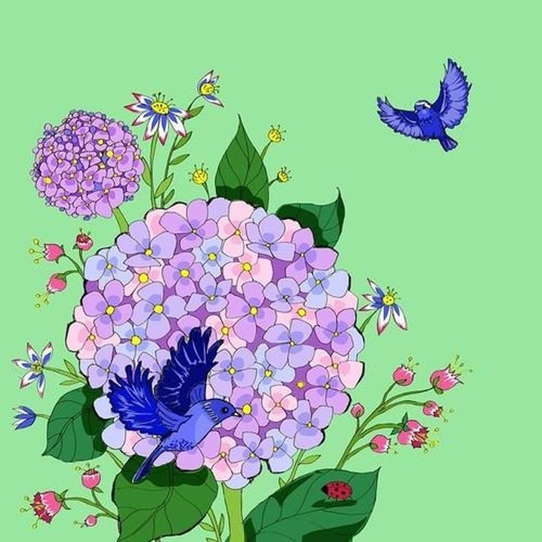 Clear Creations, Swarovski, karnet, Kwiaty, jasna zieleń