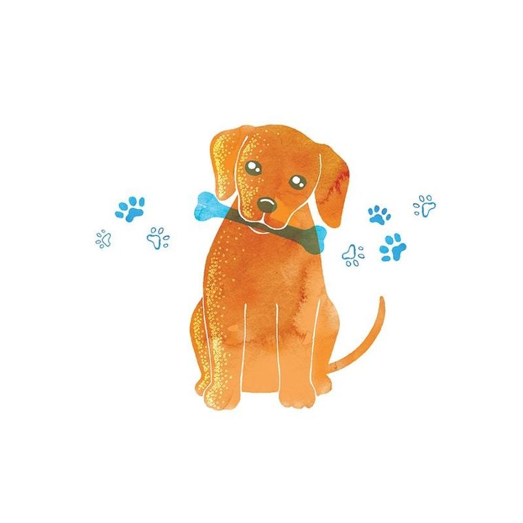 Clear Creations, Swarovski, karnet, Piesek z kością