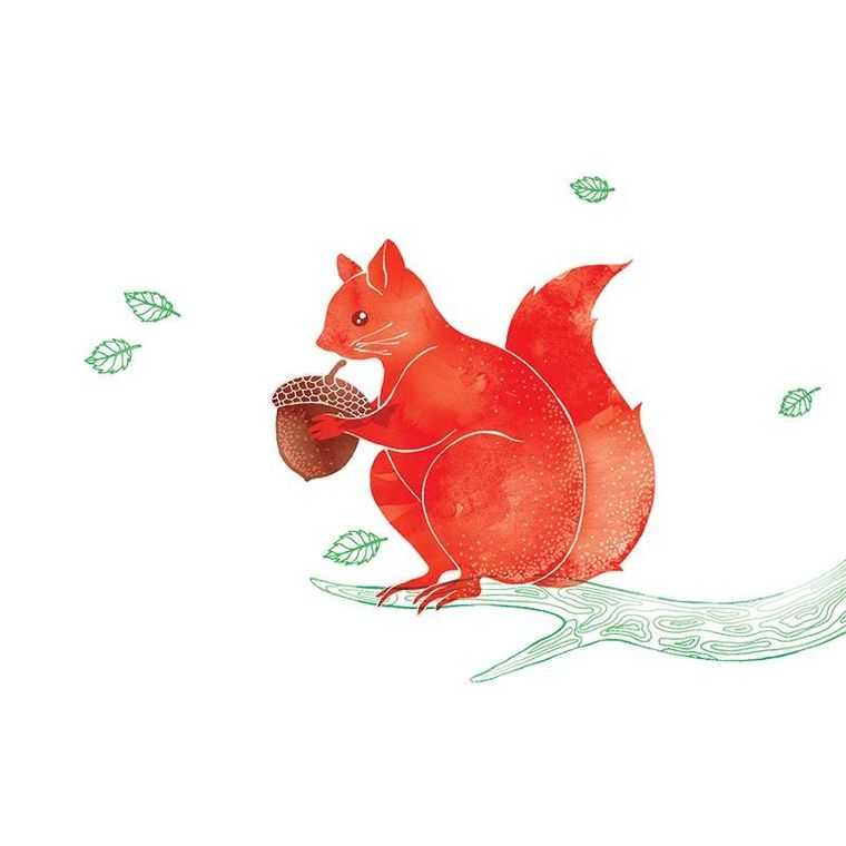 Clear Creations, Swarovski, karnet, wiewiórka