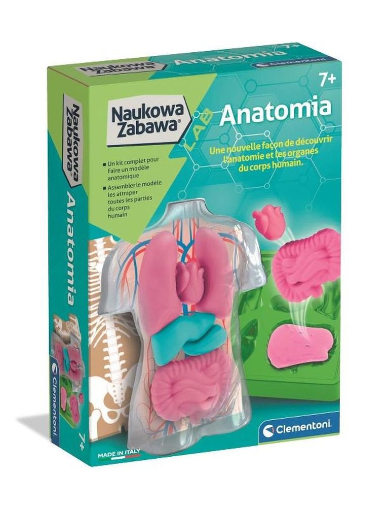 Clementoni, Naukowa zabawa, Anatomia, zestaw edukacyjny