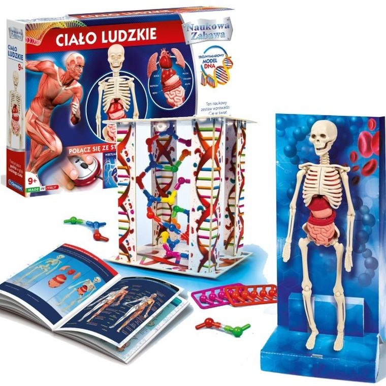 Clementoni, Naukowa Zabawa, Ciało ludzkie, zestaw naukowy