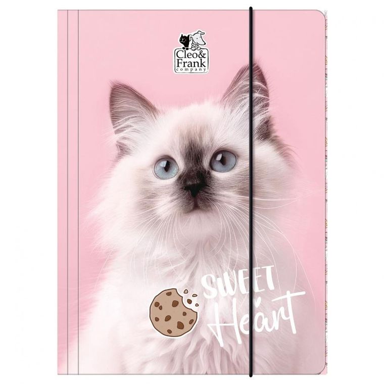 Cleo i Frank, teczka z gumką A4, Kot, 1 szt.